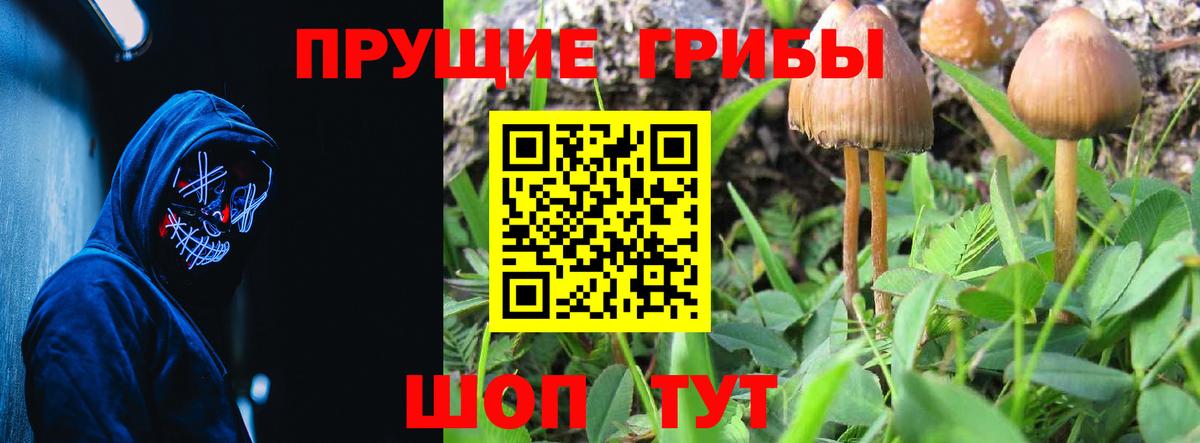 Галлюциногенные грибы Magic Shrooms  Вход с VPN  Якутск  Галлюциногенные грибы Magic Shrooms 